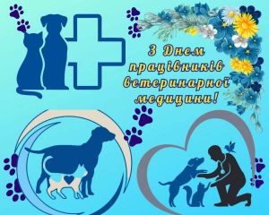 Галина Рижук із Соколова понад 40 років лікує тварин