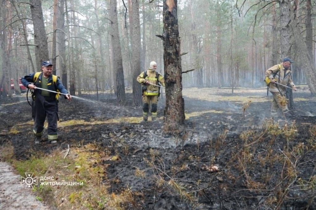 Пулинські рятувальники гасять масштабну лісову пожежу поблизу кордону з Білоруссю