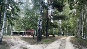 Жінка потрапила до реанімації після відпочинку на Першому кілометрі: розповідаємо подробиці надзвичайної події