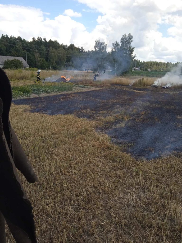 Палало поле сухої трави і стерні: загорання у Пулинській громаді гасили пожежники та небайдужі односельці